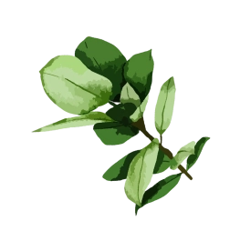 loaction-leaf